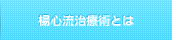 楊心流治療術とは
